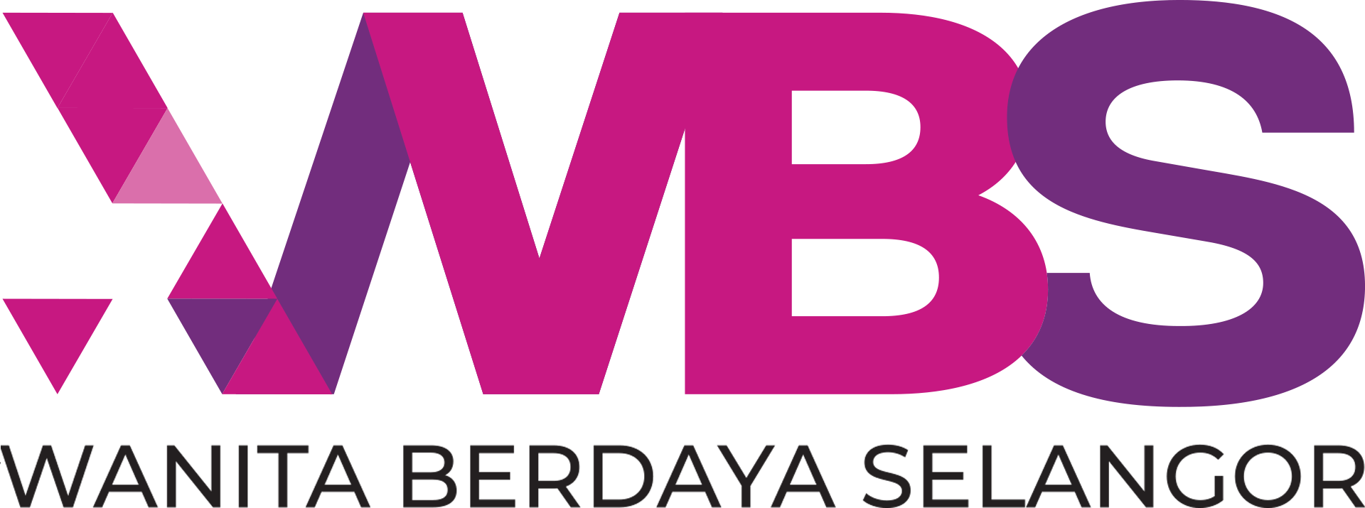 WBS Logo